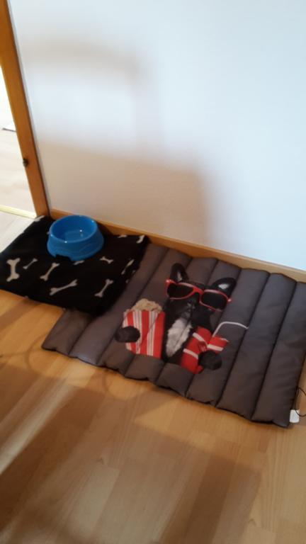אאוריך Apartment Lulu מראה חיצוני תמונה